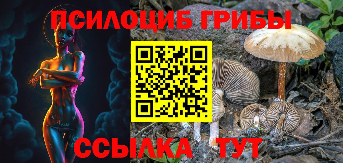 Псилоцибиновые грибы мухоморы Мончегорск